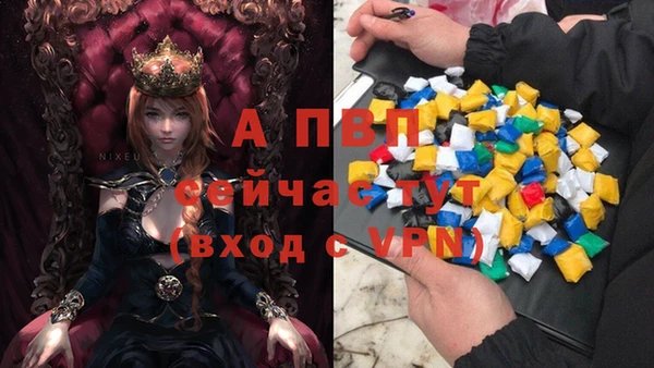 мяу мяу мука Осташков