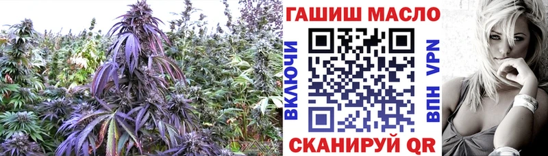 ТГК концентрат  Электроугли 