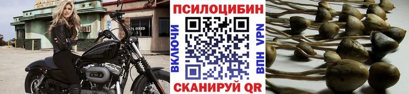 Псилоцибиновые грибы мицелий  Электроугли 